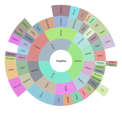 Arrange people in rings around a central person, in layers according to distance from the central person.